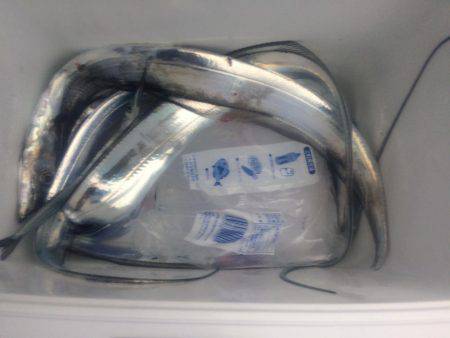 釣りバカばっか