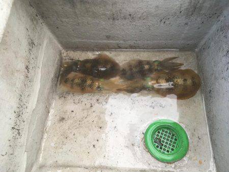 メバルっち遠征