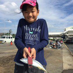 中サバ入れ食い