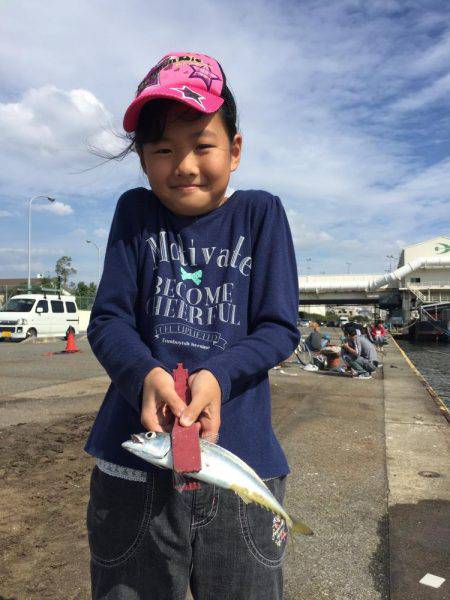 中サバ入れ食い