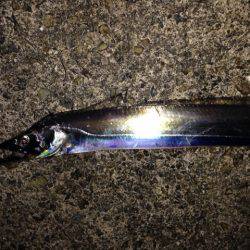 本命はさて置き!!!