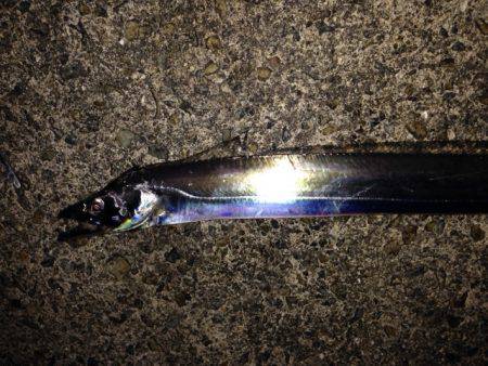 本命はさて置き!!!