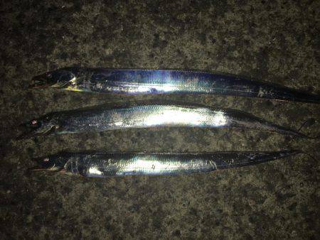 今日も行って来ました