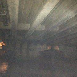 久しぶりの50アップ