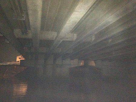 久しぶりの50アップ