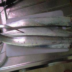 結局タチウオ！