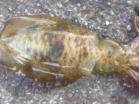 気持ちい風の中