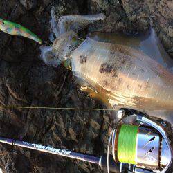 中紀シャローランガン