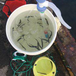 強風の中タチウオ釣りに