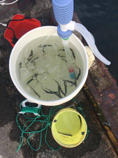 強風の中タチウオ釣りに