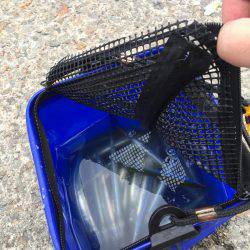 タチウオを釣りたかったが。。。