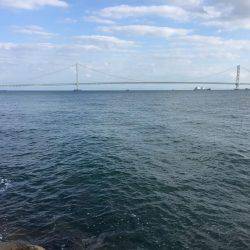 ショアジギング