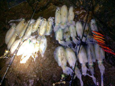 夕マヅメ〜〜ナイトエギング