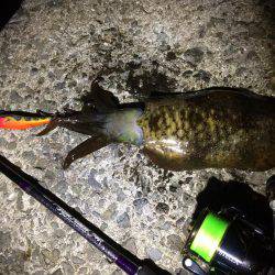 人が多い！(笑)