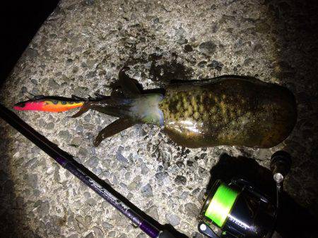 人が多い！(笑)