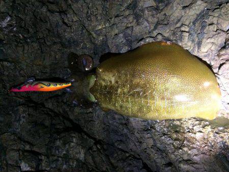 爆風真っ向勝負。