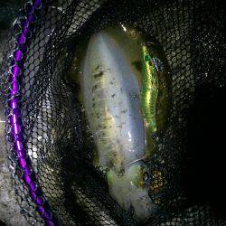 仕事帰りに一振り