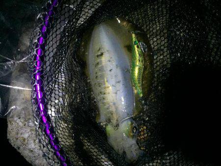 仕事帰りに一振り