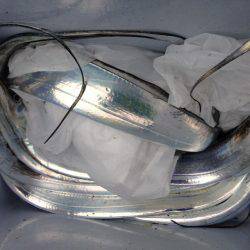 イカさっぱり釣れず。タチウオは…