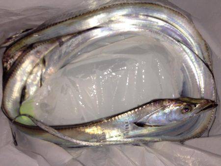 寒い中、タチウオ渋め