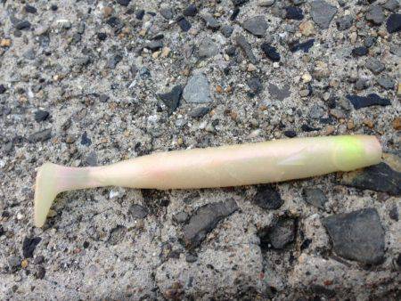 数は減ったが型はまずまず