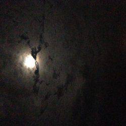 何を試しても反応なかったが、あるキッカケで。。。