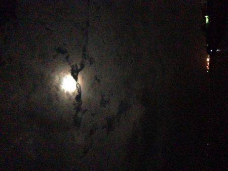 何を試しても反応なかったが、あるキッカケで。。。