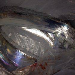 全て足元でヒット!