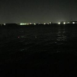 ウキ釣り厳しい