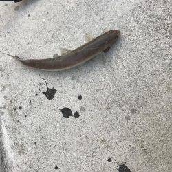 びみょうな１日