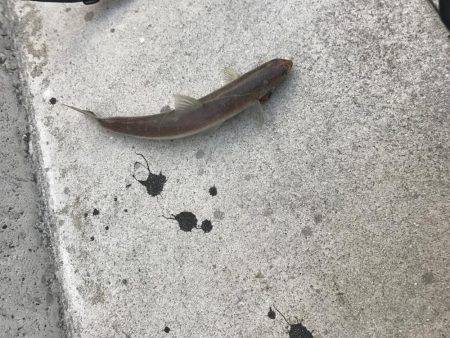 びみょうな１日