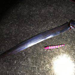 今年も始まりました