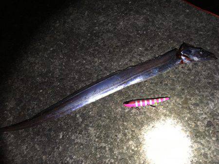 今年も始まりました