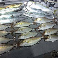 カンパチ狙いで‥