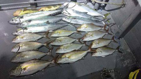 カンパチ狙いで‥