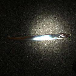 ショートバイト