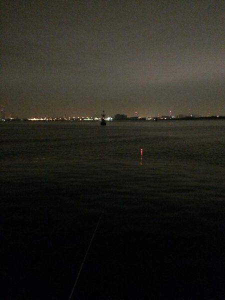 タチウオワインド！