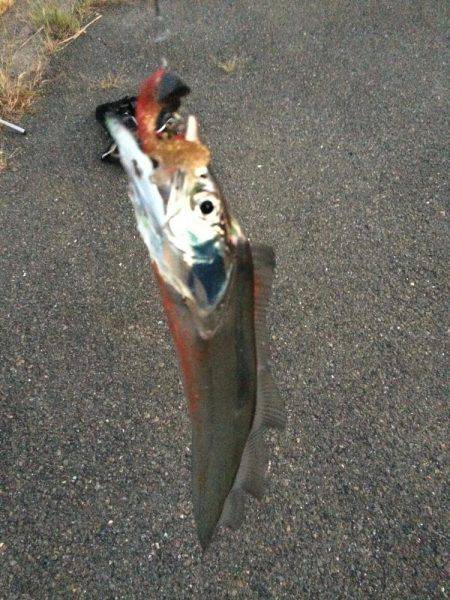 ワインドとフラップで