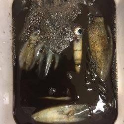 雨、うねり、最悪