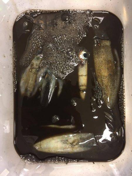 雨、うねり、最悪