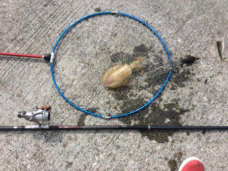 やっと墨付けできました。