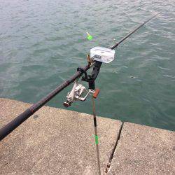 執念のコロッケサイズ