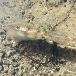 冬の空と風に…