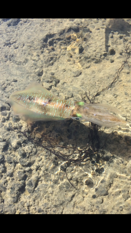 冬の空と風に…