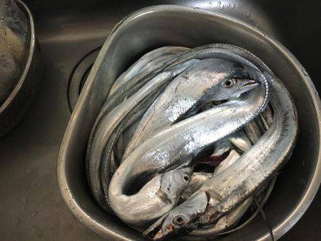 タチウオ山盛り