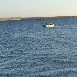 渋い中、大遠投でなんとかキャッチ