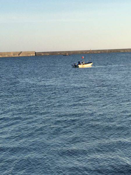 渋い中、大遠投でなんとかキャッチ