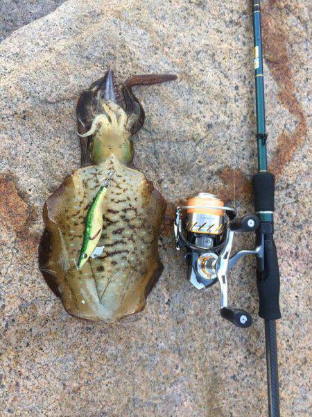 ランガンエギング