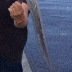 台風後の状況変化を期待して