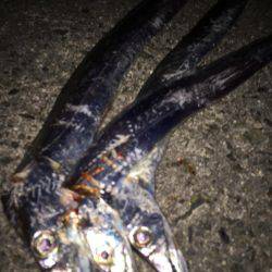 回復を期待して行きましたが……..